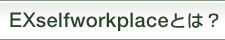 EXselfworkplaceƂ́H